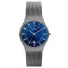 Skagen Sundby Titanium and Charcoal Steel Mesh Watch - 233XLTTN