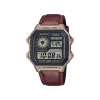 Casio Timeless - AE-1200WHL-5AVEF
