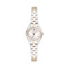 Gant Fairhaven Ladies 22mm - G194002