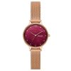 Skagen Anita Lille Three-Hand Rose Gold Stainless Steel Mesh Watch - SKW3150