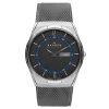 Skagen Melbye Titanium and Charcoal Steel Mesh Day-Date Watch - SKW6078
